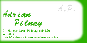 adrian pilnay business card
